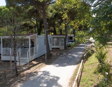 campingcesenatico en spring-offer-for-families-in-cesenatico-on-camping-with-children-staying-free 019