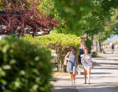 campingcesenatico fr offre-septembre-pour-couples-cesenatico-avec-plage-et-diner-offert 026