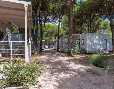 campingcesenatico de angebot-over-60-urlaub-cesenatico 023