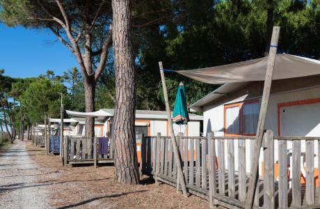 campingcesenatico en offer-triathlon-cervia-ironman-made-in-italy-holiday-in-cesenatico 018