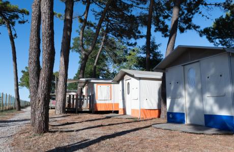 campingcesenatico it offerta-festival-dell-aquilone-cervia-in-campeggio-cesenatico-vicino-alla-spiaggia-di-pinarella 018