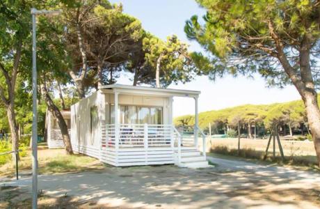 campingcesenatico en late-august-offer-camping-cesenatico-with-beach-swimming-pool-and-entertainment 014