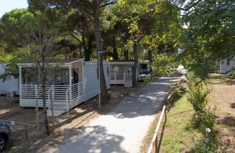 campingcesenatico en spring-offer-for-families-in-cesenatico-on-camping-with-children-staying-free 014