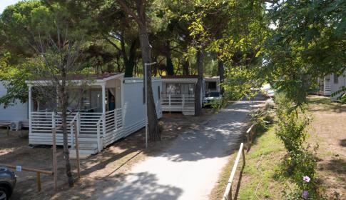 campingcesenatico fr offres-camping-bungalow-mer-romagne 017