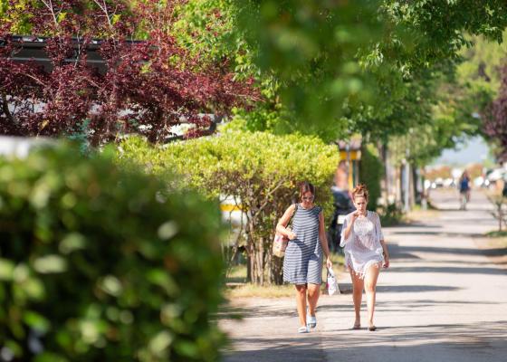 campingcesenatico it offerta-settembre-per-coppie-cesenatico-con-spiaggia-e-cena-omaggio 021