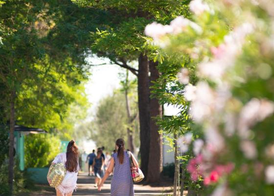 campingcesenatico it offerta-festival-dell-aquilone-cervia-in-campeggio-cesenatico-vicino-alla-spiaggia-di-pinarella 021