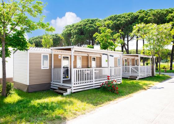 campingcesenatico de angebot-weltmeisterschaften-drachenboot-ravenna 019