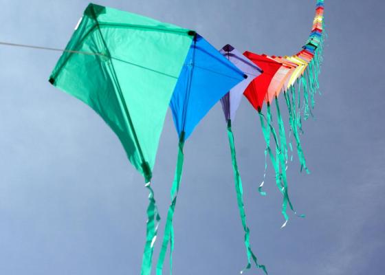 campingcesenatico en offer-kite-festival-cervia-on-camping-cesenatico-near-the-beach-of-pinarella 019